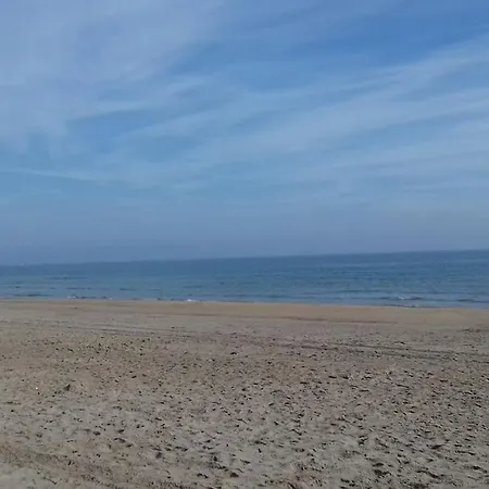 Cap D'agde - Bel 4 Pers Avec Piscine * Agde