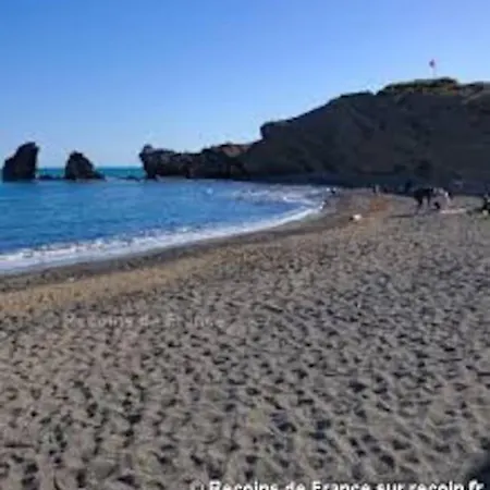 Cap D'agde - Bel 4 Pers Avec Piscine Agde